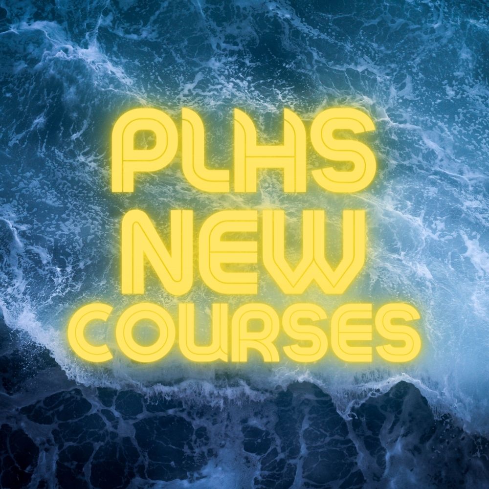New courses to explore
